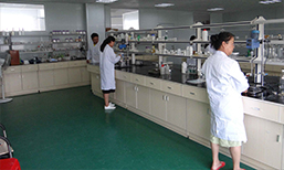 蘑菇AV在线直播观看实验室